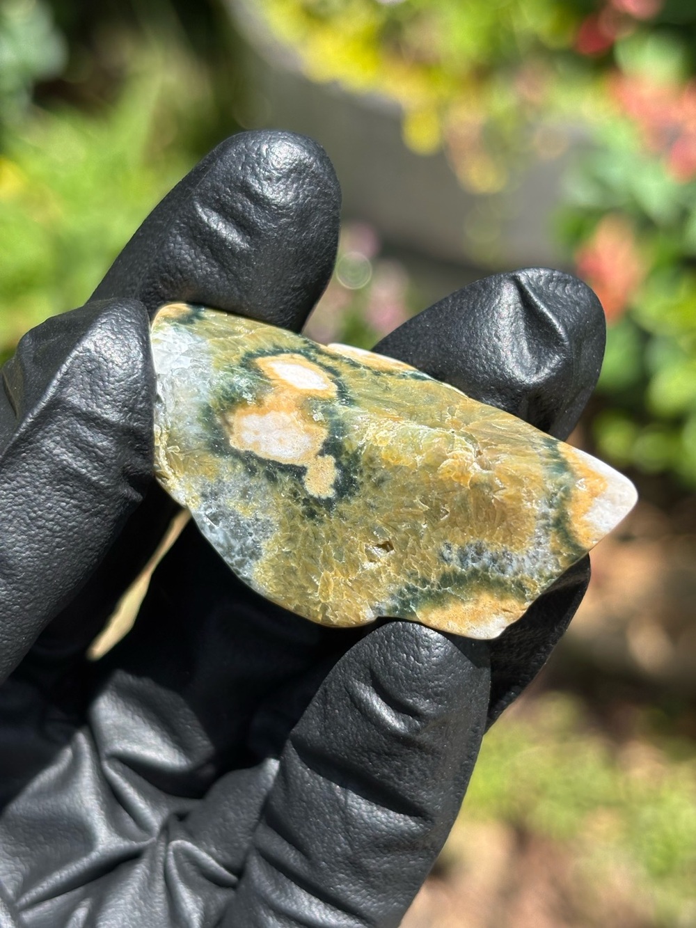 Small Ocean Jasper Crystal Freeform Specimen - Polished Sea Jasper